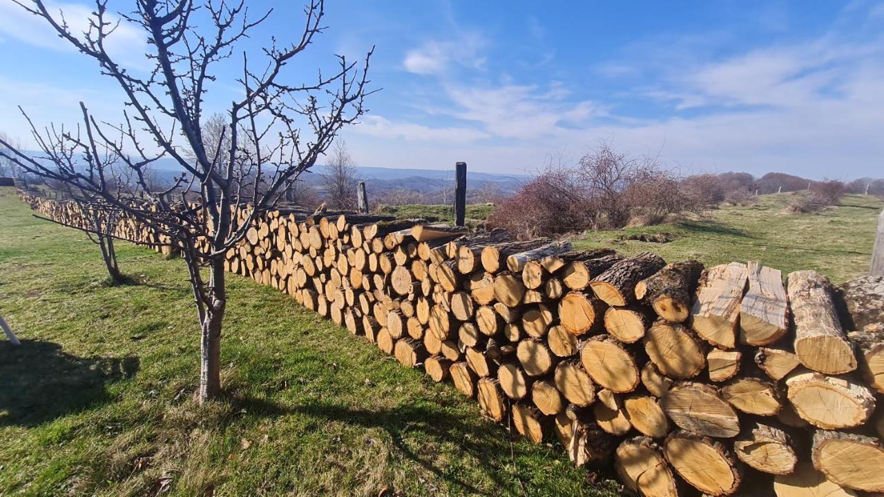 Pensiune Runcu Stone Exterior photo